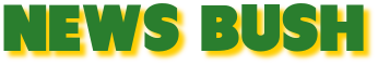 newsbush com